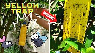 DIY YELLOW INSECT TRAP - HOMEMADE POWERFUL GLUE