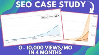 SEO Blog Case Study: 0 - 10,000/mo Page Views In 4 Months (Monster Website Build with 500,000 Words)