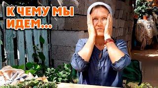 Семья, свадьба, ценности/ Лучше б я этого не видела  5.07.22
