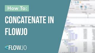 Basic Concatenating in FlowJo