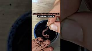 5 способов как насадить червя на крючок #рыбалка #fishing #карась