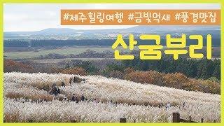 [주왁주왁 제주] 산굼부리