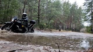 Днепр в лесу
