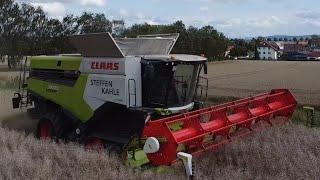 Raps Dreschen mit Claas 7500