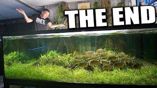 The 700G piranha aquarium is at RISK!!!