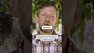 Трейлер класса «Пять ленинградских гениев XX века»