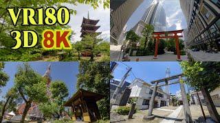 [ 8K 3D VR180 ] 初夏の東京風景 Tokyo scenery in early summer