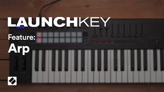 Launchkey [MK3] - Arpeggiator // Novation