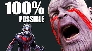 Can Antman Really Defeat Thanos From Inside His Booty?