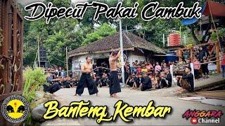 Banteng Kembar Live Wiyu Pacet || Jurus Kembangan & Atraksi