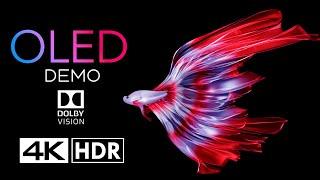 Aquarium OLED Demo HDR 4K 120FPS Dolby Vision™