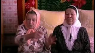 Живой голос войны