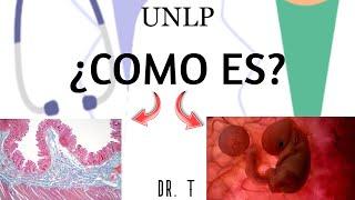 HISTOLOGIA EMBRIOLOGIA Y CITOLOGIA | MATERIAS PRIMER AÑO MEDICINA UNLP