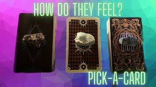 ️ PICK-A-CARD️ How do they feel?  ⭐ TIMELESS️LOVE READING