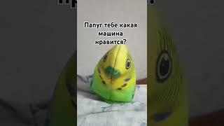 #блоптоп TOYOTA