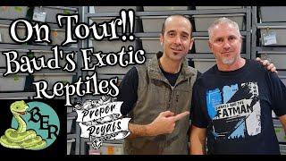 Ball Pythons On Tour - Baud's Exotic Reptiles!!  Facility Tour and Animal Show