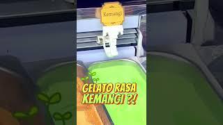 Kuliner Jogja Paling Aneh di Tugu Jogja Wajib Kamu Coba #malioboro #gelato #mukbang