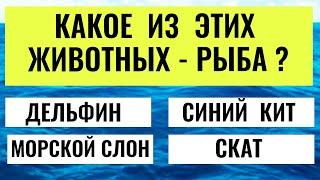 Насколько вы умны?  Интересный тест на эрудицию