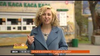 Журналистка испытала на себе, каково это - работать в зоопарке