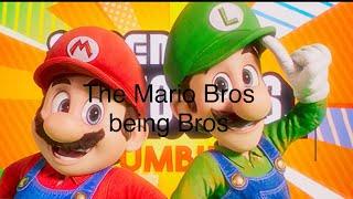 The Mario Bros being brothers for five minutes