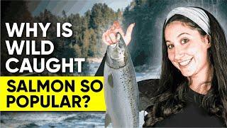 Wild Caught Salmon: Why is Wild Caught Salmon So Popular?