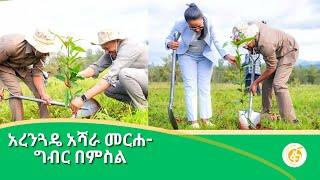 አረንጓዴ አሻራ መርሐ- ግብር በምስል