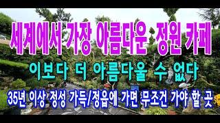 세상에 이런 민간정원, 들꽃마당_제이포렛 카페, #4K, #세상에이런일이, #들꽃정원, #제이포렛, #정읍가볼만한곳, #정읍카페추천