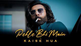 Pehle Bhi Main x Kaise Hua (ACV Mashup) | ANIMAL MASHUP | Ranbir Kapoor