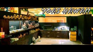 YOAS - HAWAII'S NEWEST AQUASCAPING STORE!