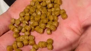 Nick Speed How To Prepare Expander Fishing Pellets