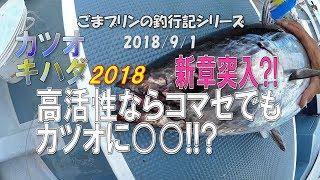 【相模湾カツオキハダ】9月新群れ入荷!! 高活性ならカツオにはネムリ針が吉かも?!(2018/09/01)五エム丸