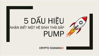 5 DẤU HIỆU NHẬN BIẾT MỘT HỆ SINH THÁI SẮP #PUMP