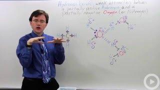 Hydrogen Bonds(HD)