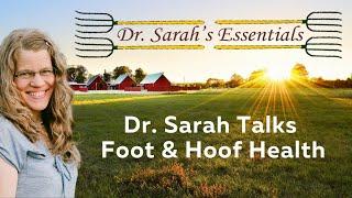 Foot and Hoof Health: Dr. Sarah's Essentials 100% Natural Animal Products