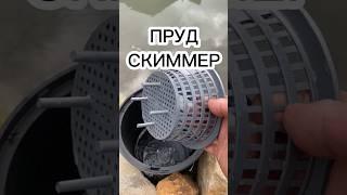 Пруд без скиммера деньги на ветер | ПРУД ПРУДИ