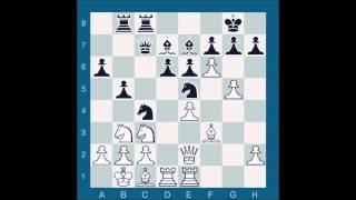 ChessMaster GME: Tate E vs Waitzkin J (1996)