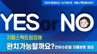 언어치료/자폐스펙트럼장애/완치가능할까요? Yes or NO