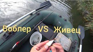 Щука осенью. На что ловить?? Живец или воблер.!?!?