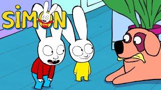 Milou has hurt his paw 🩺🩹 Simon | 2 hours compilation | Season 3 Full episodes | Cartoons for Kids