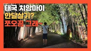 치앙마이 한달살기? 솔직히 조금 애매한 이유