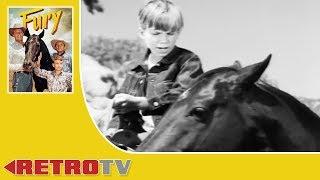 Fury | TV WESTERN | Killer Stallion | S1E2