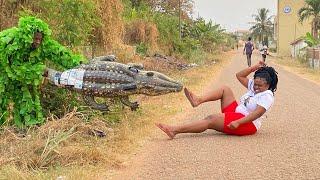 Ultimate Best of Best Bushman Prank in Africa! Compilation 2024!!