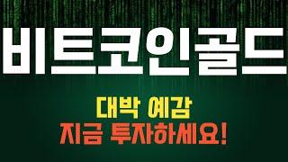 코인 [비트코인골드] 비트코인골드 코인전망! 목표가에 도달할 수 있는 투자 기회를 잡아라!