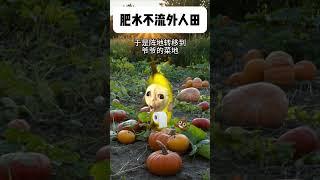小时候住爷爷家的离谱操作 #cheems小剧场 #cheems #搞笑