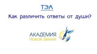 Как различить ответы от души?  | Мастер "АКАДЕМИИ Новой Земли" ТЭА     #душа #ТЭА #вопросответ