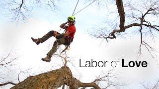 Labor of Love - Tree care