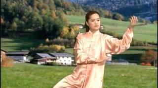 Yang-Style 48 Form Tai Chi Chuan