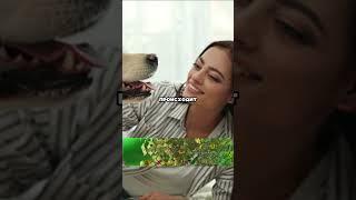 Тайна дома: что камеры раскрыли о жене и собаке?