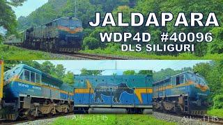 'JALDAPARA' named SGUJ WDP4D 40096 Rail Engine featuring One-Horned Rhino of Jaldapara National Park