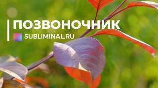 Spine Healing. NEW Subliminal. Hidden Affirmations.